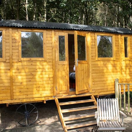 Pike'S Cabin In The Woods Hebden Bridge Dış mekan fotoğraf